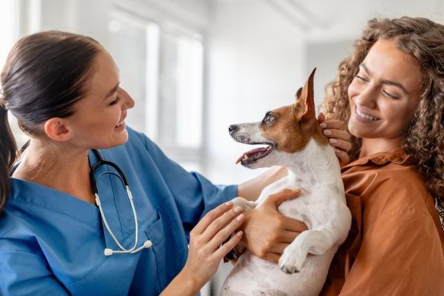 Pet Insurance in 2025 Is It Worth the Cost